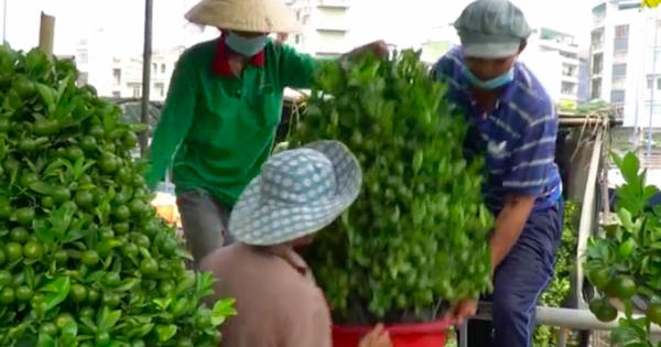Chợ hoa “trên bến dưới thuyền” nhộn nhịp giao thương ngày cận Tết