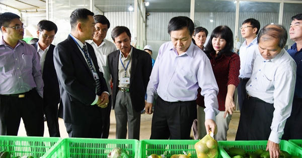 Phó Thủ tướng Vương Đình Huệ thăm và làm việc tại Lâm Đồng Phó Thủ tướng Vương Đình Huệ thăm và làm việc tại Lâm Đồng