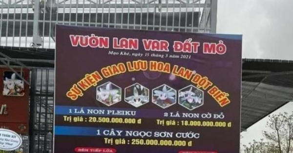 Công an Quảng Ninh xác minh vụ giao dịch lan đột biến hàng trăm tỷ