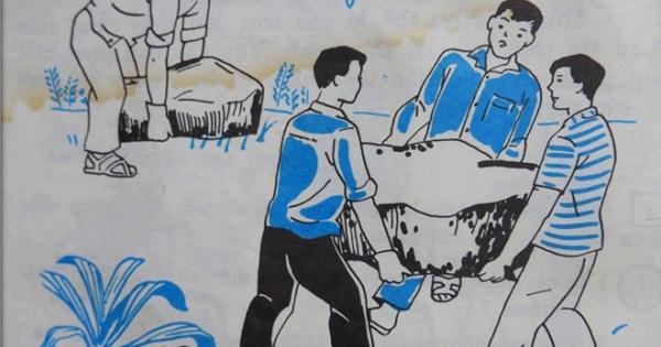 Tâm sự bây giờ mới kể của thế hệ học trò dùng sách giáo khoa cũ