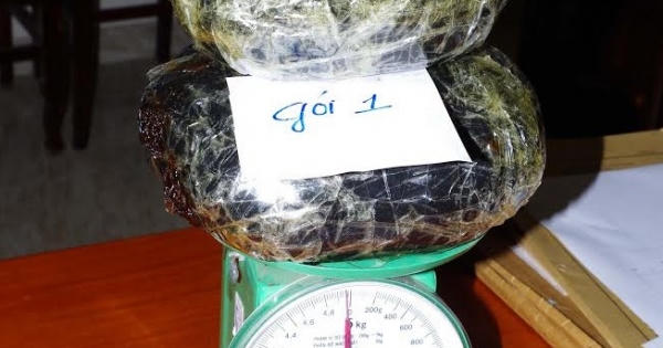 Bắt đối tượng quốc tịch Lào vận chuyển thuốc phiện sang Việt Nam bán