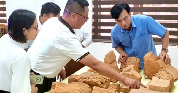 Phú Thọ: Khai quật 107 hiện vật khảo cổ tại địa điểm Ba Nền, huyện Hạ Hoà