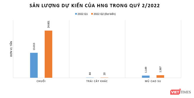 HNG lỗ quý thứ 4 liên tiếp