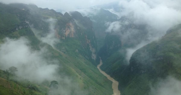 Hà Giang: “ngỡ ngàng” trước màu tím biếc của hoa tam giác mạch