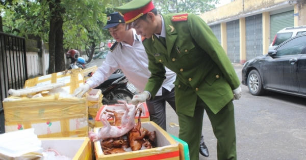 Quảng Bình: Liên tục bắt giữ xe vận chuyển động vật không rõ nguồn gốc