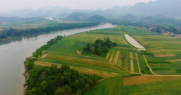 Ngữ nghệ trong một tâm hồn thơ của người yêu quê!