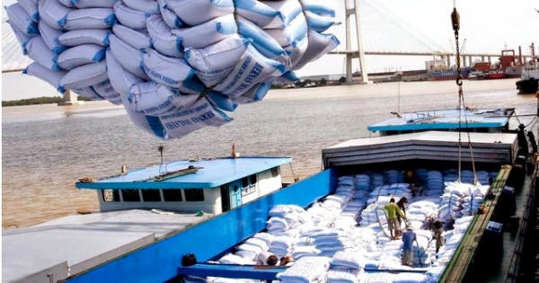 Bộ Tài chính đề nghị Bộ Công an điều tra sai phạm trong xuất khẩu 400.000 tấn gạo