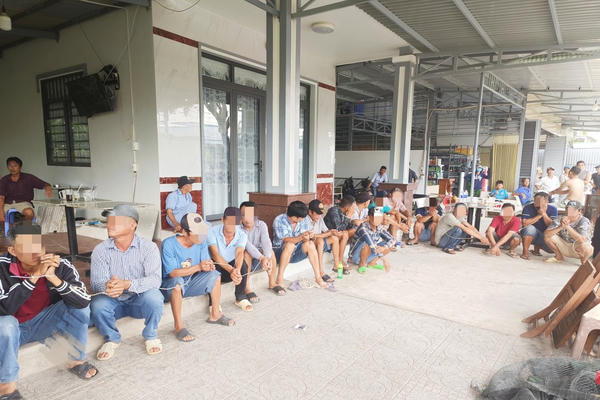 Kiên Giang: Triệt phá tụ điểm đá gà với 19 người tham gia