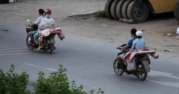 Heo 'lõa thể' từ khắp ngả nườm nượp vào chợ Thủ đô