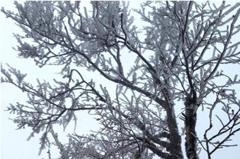 Đã xuất hiện băng giá, mưa đông kết ở vùng núi phía Bắc