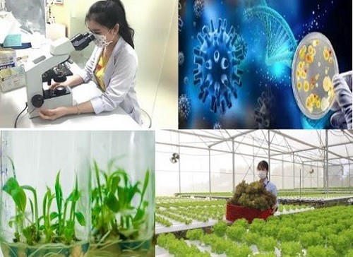 Phê duyệt Đề án phát triển công nghiệp sinh học trong lĩnh vực bảo vệ môi trường đến năm 2030