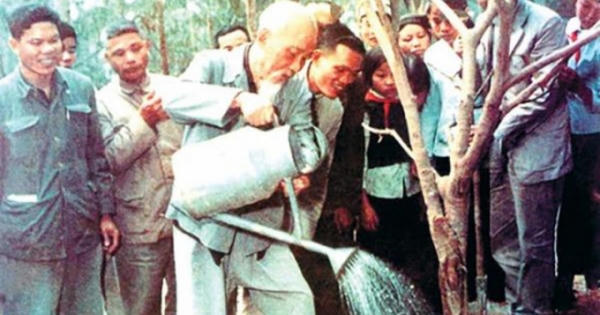 Mùa xuân là Tết trồng cây Mùa xuân là Tết trồng cây