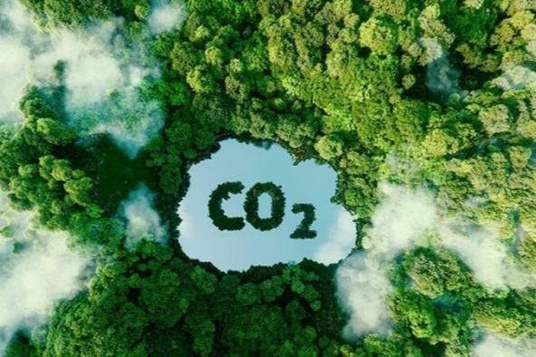 Gấp rút hoàn thiện khung pháp lý về tín chỉ carbon
