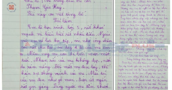 Bất ngờ phía sau câu chuyện ông bố “gà trống nuôi con” và bài văn gây xúc động