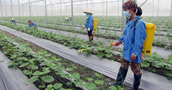Huyện Hiệp Hòa, Bắc Giang đạt chuẩn nông thôn mới
