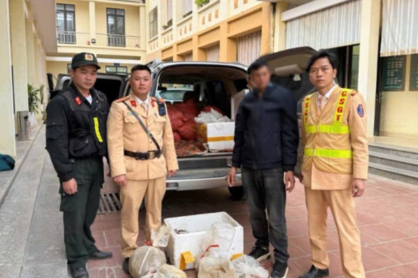 Cao Bằng: Phát hiện ô tô vận chuyển 12 cá thể tê tê trái phép Cao Bằng: Phát hiện ô tô vận chuyển 12 cá thể tê tê trái phép