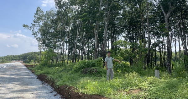 Bình Phước: “Giấy đặt cọc” bị Tòa án nhân dân huyện Chơn Thành tuyên công nhận hợp đồng chuyển nhượng