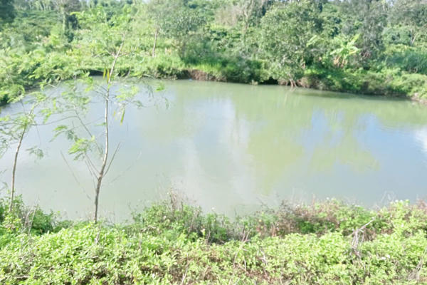 Ba trẻ nhỏ tử vong do đuối nước tại hồ tưới tiêu ở xã Ea Kly