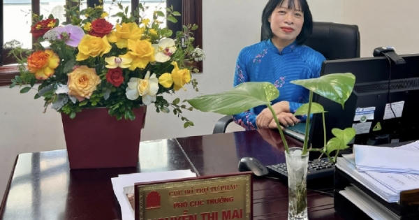 Đấu giá quyền sử dụng đất và những điều cần biết