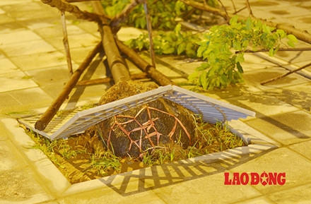 Sau bão lộ sự cẩu thả: Chúng tôi không trồng như vậy?!