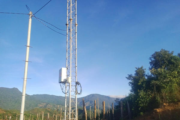 Kon Tum: Lắp đặt trạm phát sóng giúp đồng bào Xơ Đăng bảo vệ vườn sâm Ngọc Linh