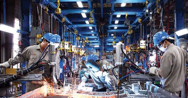 Sẽ chuẩn hóa trình độ kỹ năng nghề cho 50% lực lượng lao động