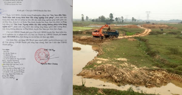 Chủ tịch Nguyễn Đức Chung chỉ đạo xử lý vi phạm đất đai ở Sóc Sơn sau khi Pháp luật Plus phản ánh