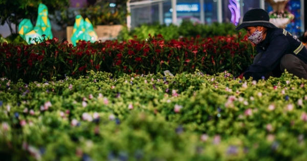 Đường hoa Nguyễn Huệ kéo dài thêm ngày hội