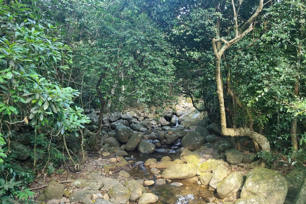 Về non thiêng Yên Tử nghe huyền tích suối Giải Oan Về non thiêng Yên Tử nghe huyền tích suối Giải Oan