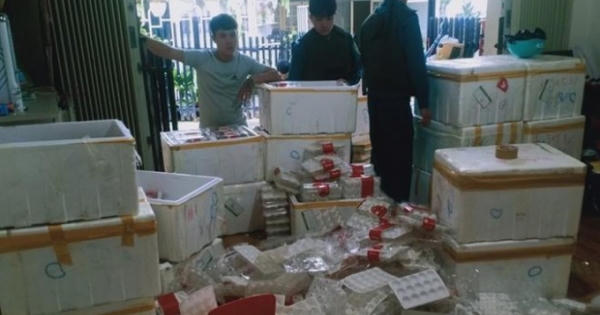 Kiểm tra, phát hiện 370kg dâu tây Trung Quốc ở Đà Lạt