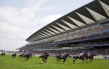 Dự án trường đua ngựa 500 triệu USD tại Hà Nội tái khởi động