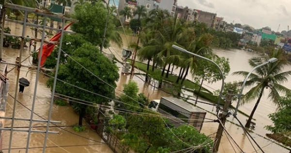 Bão số 2 khiến 2 người thiệt mạng, hàng nghìn hecta hoa màu bị phá huỷ