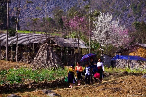 Những phong tục, điều kiêng kỵ của người Mông trong ngày Tết