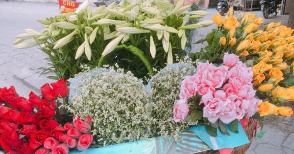 Tháng 4 về ngập phố Hà Nội với loài hoa báo hè