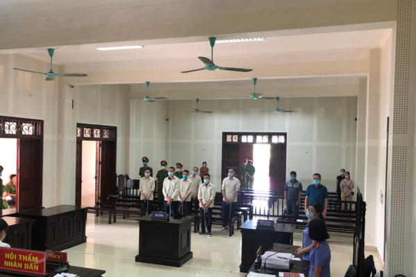 52 năm tù cho nhóm bắt trộm hàng trăm con lợn mang đi bán