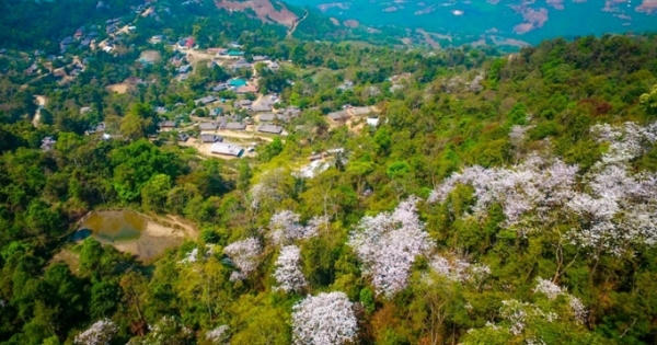 Bản làng Điện Biên tuyệt đẹp trong sắc hoa Ban Bản làng Điện Biên tuyệt đẹp trong sắc hoa Ban