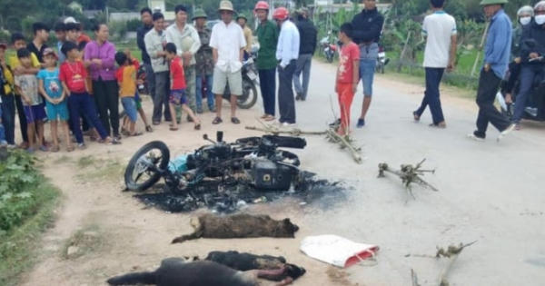 Nghi câu trộm chó, 2 người bị đánh thương vong: Công an khởi tố vụ án Giết người Nghi câu trộm chó, 2 người bị đánh thương vong: Công an khởi tố vụ án Giết người