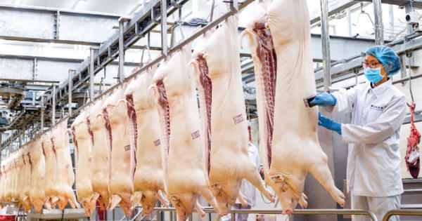 Không lo thiếu thịt lợn, "đội" giá dịp Tết Nguyên đán