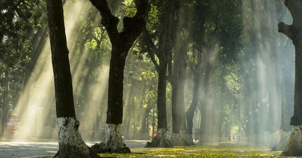 Khoảng khắc mùa thu Hà Nội níu chân du khách Khoảng khắc mùa thu Hà Nội níu chân du khách