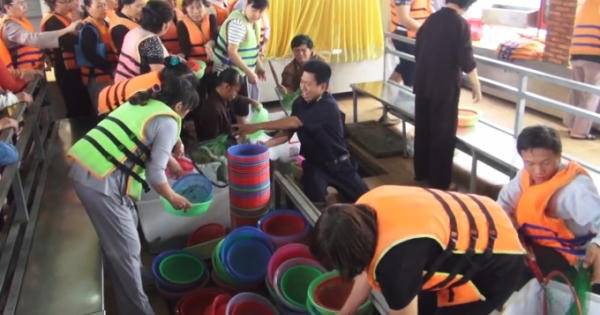 Hàng tấn cá trê được phóng sinh xuống sông Sài Gòn Hàng tấn cá trê được phóng sinh xuống sông Sài Gòn