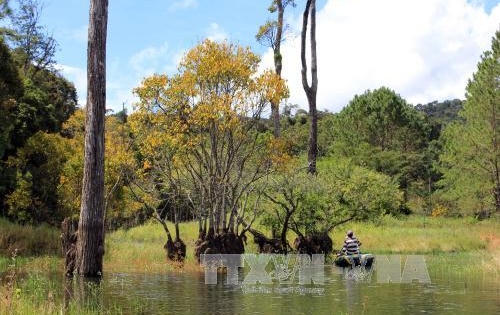 Thanh tra tỉnh Lâm Đồng kết luận có nhiều sai phạm tại Khu Du lịch hồ Tuyền Lâm - Đà Lạt