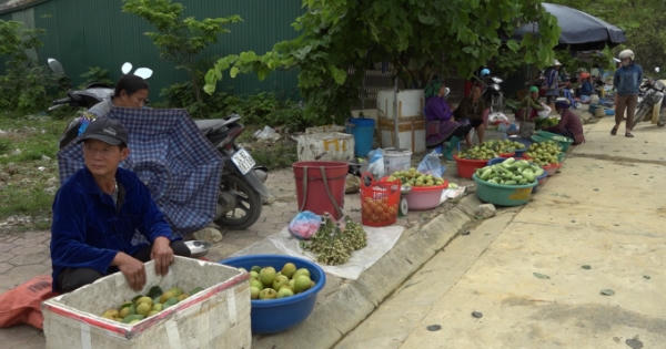 Si Ma Cai mùa quả ngọt Si Ma Cai mùa quả ngọt