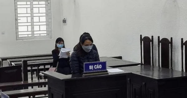 Nàng dâu làm giả giấy tờ, tài liệu để lừa nhà chồng