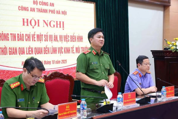 Nhóm Shark Bình rút tiền từ 30.000 ví của các nhà đầu tư Nhóm Shark Bình rút tiền từ 30.000 ví của các nhà đầu tư