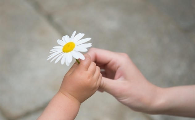 Sự thật và lòng biết ơn