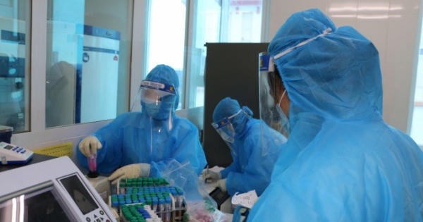 Kết quả xét nghiệm xác định 4 F1 tại Nghệ An và Hà Tĩnh thành F0