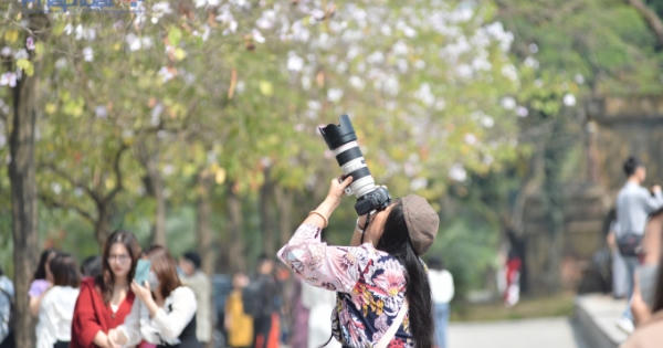 Những cung đường Hà Nội rợp sắc hoa ban xao xuyến lòng người