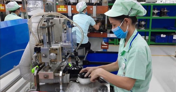 Sớm nghiên cứu sử dụng nguồn kinh phí công đoàn hỗ trợ đoàn viên và người lao động bị mất việc làm Sớm nghiên cứu sử dụng nguồn kinh phí công đoàn hỗ trợ đoàn viên và người lao động bị mất việc làm