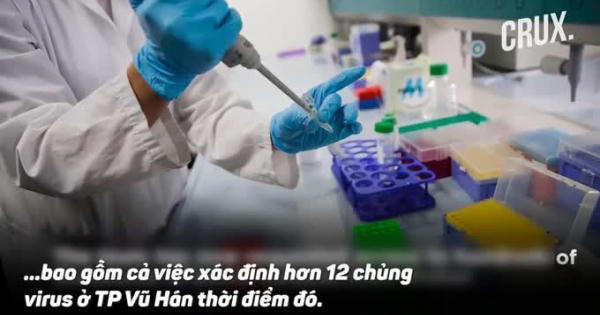 NÓNG nhất tuần: Nhóm điều tra WHO phát hiện điều bất ngờ tại Vũ Hán