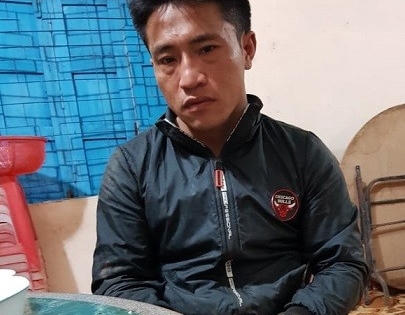 Gia Lai: Bắt giữ kẻ cầm đầu vụ cưa hạ gỗ hương quý hiếm